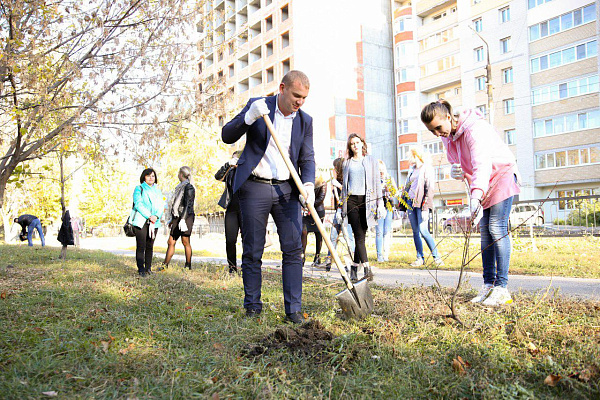 Коммунальщики высадили более 30 деревьев в скверах Саратова